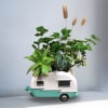 This arrangement is a great gift this summer. This design is inspired
