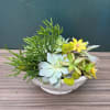 Succulent arrangement in a white bowl with small yellow flowers