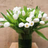 White tulips arranged in a clear glass vase