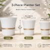 Three white textured ceramic planters in different sizes with gold bands.