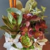 Assorted green and burgundy succulents in a white patterned ceramic pot with vertical wooden sticks.