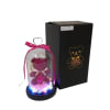 Pink teddy bear and artificial rose under glass dome with lights beside black gift box