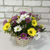 Basket arrangement of yellow, white, and purple daisies with small pink filler flowers.