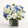 White lilies, roses, and blue flowers in a square glass vase