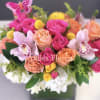 Bright pink and peach rose arrangement with orchids in a square vase