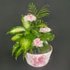 Green houseplant garden with pink carnations in a white basket with a pink bow.