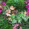 Petals &amp; Blooms Flowers- "TROPICAL FLOWERS WEDDING PACKAGE," is a beautiful floral