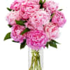 Celebrate life's special moments with the timeless beauty of our Peony Bliss