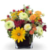 Mixed bouquet in a black square vase with yellow, orange, white, and burgundy flowers