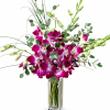 Magenta orchids in a tall clear glass vase with airy greenery