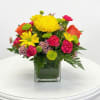 Colorful bouquet of yellow, pink, and orange flowers in a square glass vase