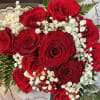 Bouquet of red roses with white baby's breath in decorative wrap