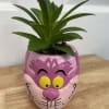 Small succulent in a pink cartoon face planter