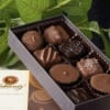 Box of assorted chocolates with green leaves behind it