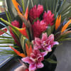 Tropical bouquet with pink orchids and orange bird-of-paradise flowers