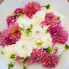 Bouquet of pink and white dahlias wrapped in white paper