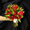 Bouquet of red roses with green foliage