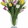 Bouquet of pink, yellow, and white tulips in a clear glass vase
