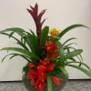 Tropical flower arrangement in a glass bowl with a red ribbon