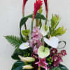 Tropical floral arrangement with pink orchids and white anthuriums in a black vase