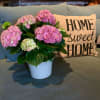 Pink hydrangeas in a white pot on a couch beside a "Home Sweet Home" pillow.