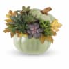 Succulent arrangement in a pale green pumpkin-shaped container with autumn leaves