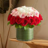 Red, pink, and white roses arranged in a glass vase