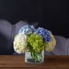 Harmony is a beautiful mix of hydrangeas that truly speaks to it's