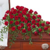 An abundance of Red roses with premium foliage in a casket spray.

