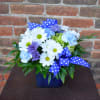 Blue vase arrangement with white daisies, purple blooms, and polka-dot ribbon