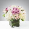 Pink roses and white orchids in a square glass vase