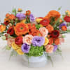 Low white vase filled with bright orange, red, yellow, and purple flowers in a wide arrangement