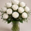 A rounded cluster of pure white roses creates an immediate sense of