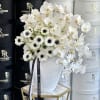 White orchids and anemones arranged in a white vase