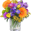 Colorful bouquet of gerbera daisies, irises, and tulips in a clear glass vase