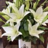 White lilies arranged in a tall white vase with a cross emblem