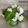 Short arrangement of white roses and calla lilies with green hydrangeas and succulents in a square glass vase