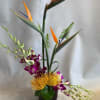 Tall tropical arrangement with orange bird of paradise and purple orchids in a black vase