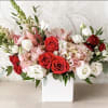 Red and white roses with pink hydrangeas in a white vase