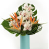 Bold orange, turquoise and white bring playful South Florida energy to this