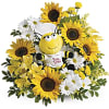 Sunflower and daisy arrangement with a plush bee centerpiece