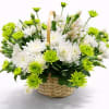 Basket of white and lime-green chrysanthemums with a handle
