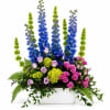 Tall floral arrangement with blue and green spikes and pink roses in a white container
