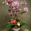 Tall orchid arrangement in a white pedestal vase with pink and purple blooms