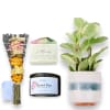 Gift set with a dried flower bouquet, soap bar, candle, and potted plant