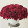 Large bouquet of red roses in a white vase