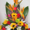 Tropical arrangement with red roses, sunflowers, and white lilies