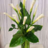 White calla lilies in a glass vase with glossy green leaves