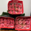 A bunch of hermosa roses with different sizes available to choose 