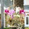 A Grand luxury with intricate craftsmanship orchid arrangement  
Disclaimer: Photo just